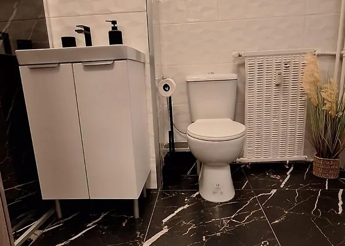Cochet Alba Iulia Apartment